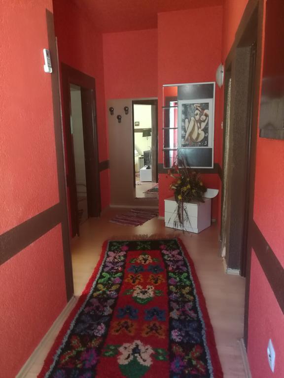 קריקווניצה Odvojak Apartments מראה חיצוני תמונה